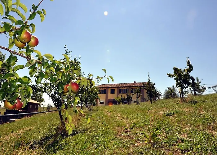 B&B Frutti Antichi